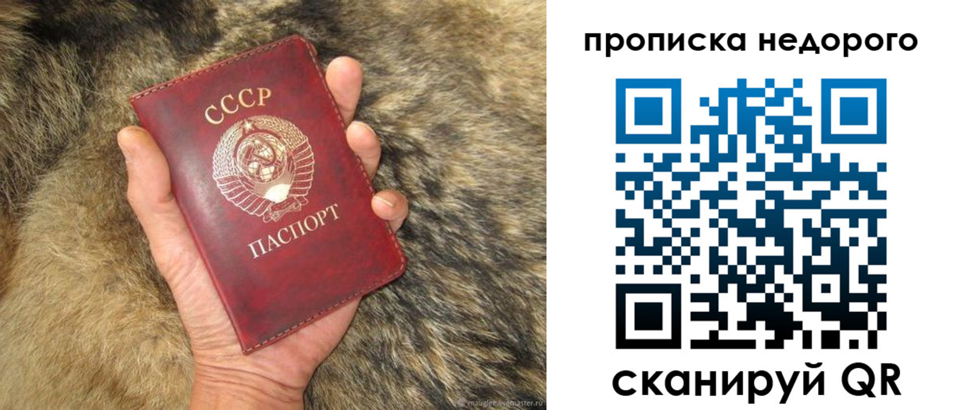 прописка для школы в Кропоткине